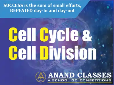 Cell Cycle and Cell Division-Mitosis Meiosis-NEET Study Material-NEET Coaching Center In Jalandhar-Anand Classes-Param Anand Cell Cycle and Cell Division-Mitosis Meiosis-NEET Study Material-NEET Coaching Center In Jalandhar-Anand Classes-Param Anand