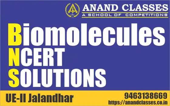 Biomolecules NCERT Solutions Chapter 9 Class 11 Biology-NEET Study Material-Anand Classes-Param Anand Biomolecules NCERT Solutions Chapter 9 Class 11 Biology-NEET Study Material-Anand Classes-Param Anand