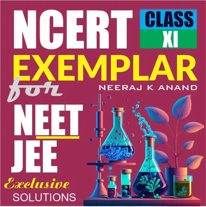 Thermodynamics NCERT Exemplar Solutions Chemistry Class 11 Study Material Notes pdf download-PARAM ANAND Thermodynamics NCERT Exemplar Solutions Chemistry Class 11 Study Material Notes pdf download-PARAM ANAND